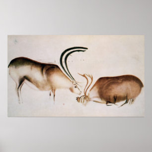 Affiches Cerfs mâles et femelles