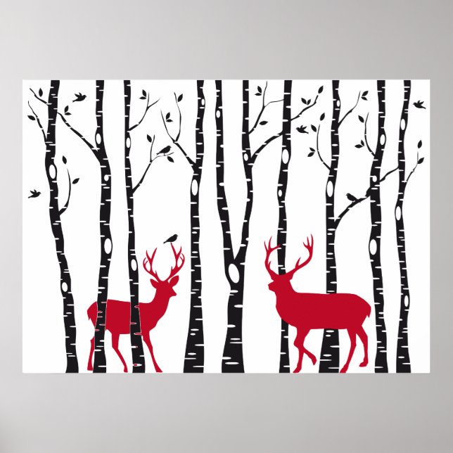 Affiches Cerfs rouges dans la forêt de bouleaux (Devant)