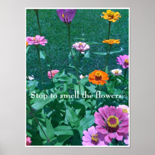 Affiches Cessez de sentir les fleurs