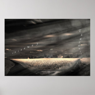 Affiches C'est la vie