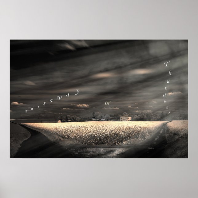 Affiches C'est la vie (Devant)