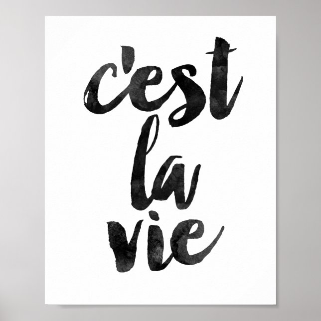 Affiches C'est La Vie (Devant)
