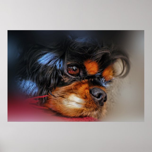 Affiches C'est une vie difficile.... (Devant)