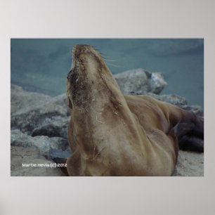 Affiches Chaîne vers le haut