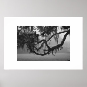 Affiches Chambre d'Addis