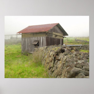 Affiches Chambre de Paniolo