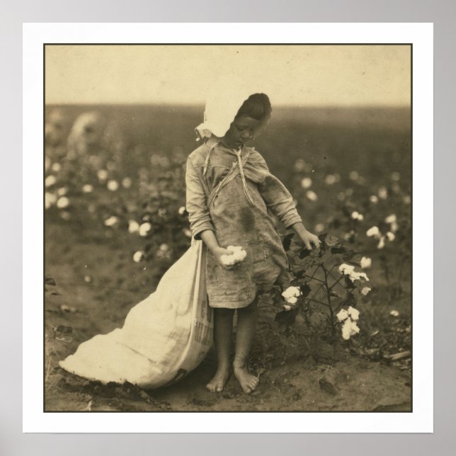 Affiches Champ de coton (Devant)