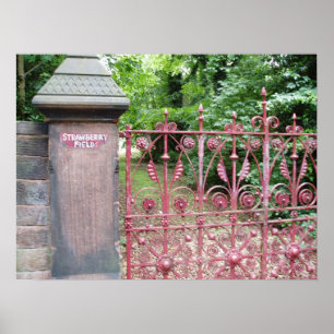 Affiches Champ de fraises