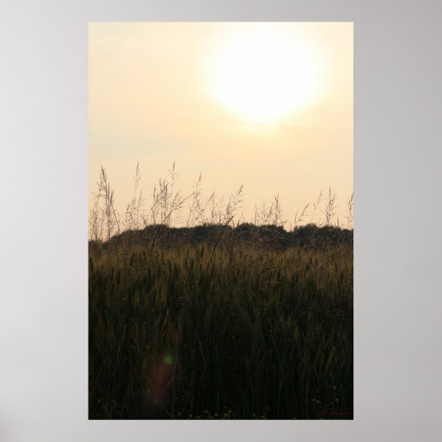 Affiches Champ d'été (Devant)