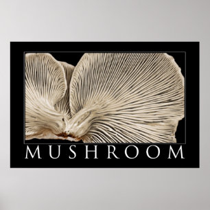 Affiches Champignon 2