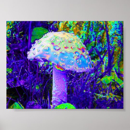 Affiches Champignon Psychedelique Zazzle Fr