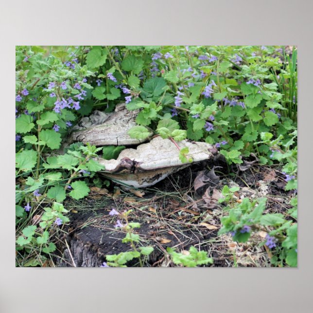 Affiches Champignons Et Fleurs Séchés Sur La Pompe D'Arbre (Devant)