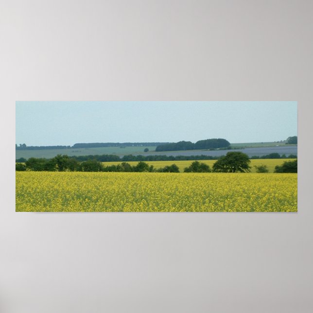 Affiches Champs (Devant)