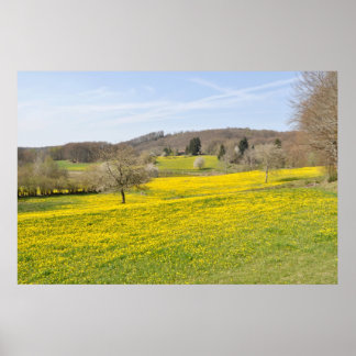 Affiches Champs de Dandelion