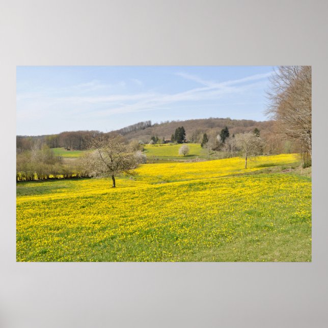 Affiches Champs de Dandelion (Devant)