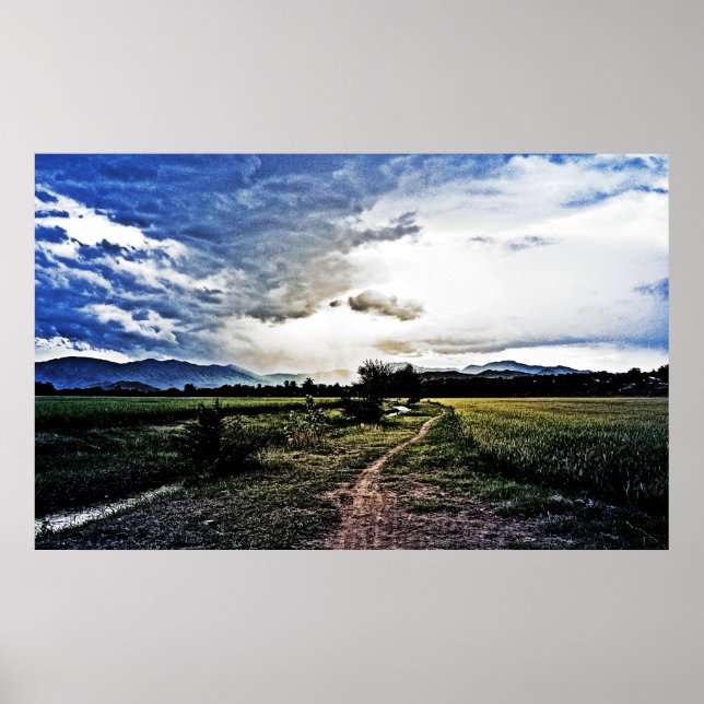 Affiches Champs de riz sur le chemin (Devant)