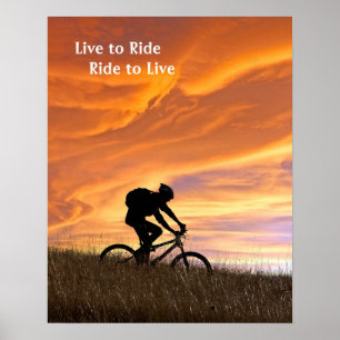 Affiches Champs d'or