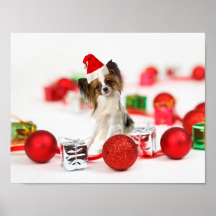 Affiches Chapeau de Santa de Noël de chien Papillon mignon