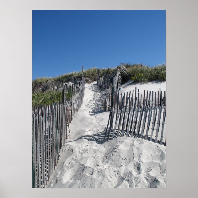Affiches Chapin Beach Cape Cod (Devant)