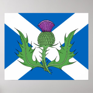 Affiches Chardon et Saltire écossais