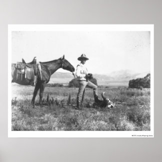 Affiches Charles Belden avec cheval et crâne.