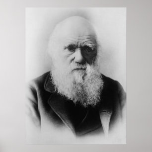 Affiches Charles Darwin Portrait par Elliott et Fry