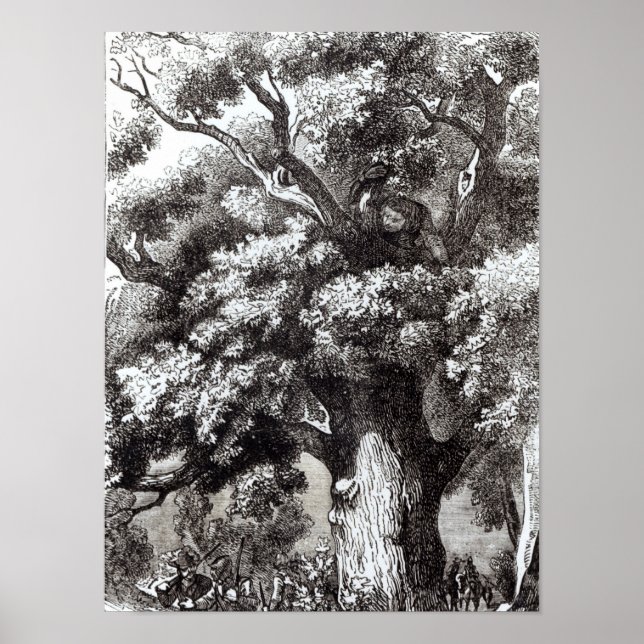 Affiches Charles II caché dans le chêne (Devant)