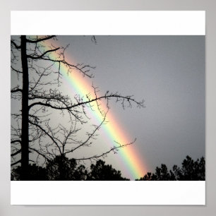 Affiches Chasing After Rainbows