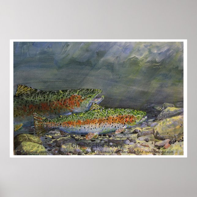 Affiches Chasing Rainbows (Devant)