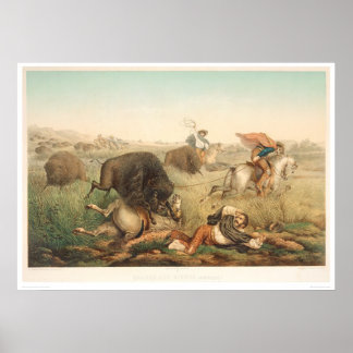 Affiches Chasse au bison (0008A)