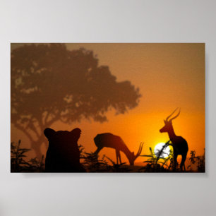 Affiches Chasse au lion