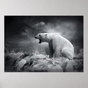 Affiches Chasseur d'ours blanc sur la glace dans l'eau