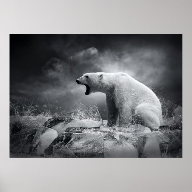 Affiches Chasseur d'ours blanc sur la glace dans l'eau (Devant)