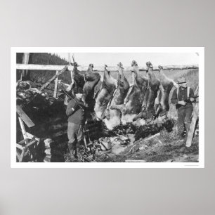 Affiches Chasseurs Alaska 1928 de caribou