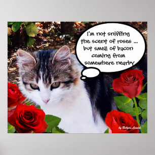 AFFICHES CHAT AUX ROSES ROUGES