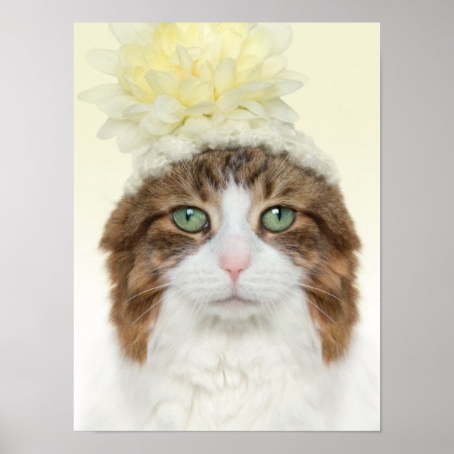 Affiches Chat Avec Casquette Fleur (Devant)