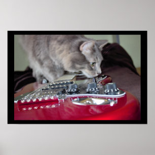 Affiches Chat avec guitare électrique rouge