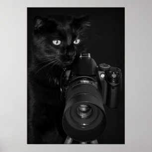 Affiches Chat avec l'appareil photo