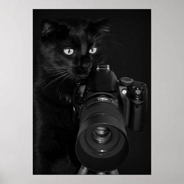 Affiches Chat avec l'appareil photo (Devant)