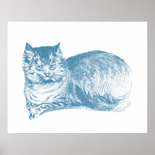Affiches Chat bleu