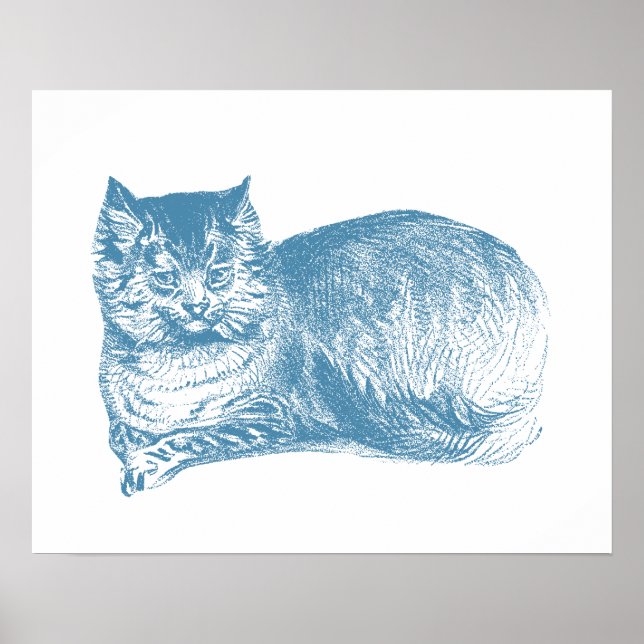 Affiches Chat bleu (Devant)