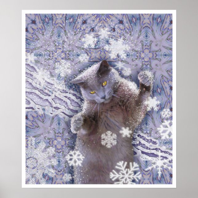 Affiches Chat cool (Devant)