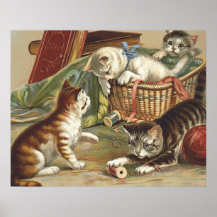 Affiches Chat curieux de PIÈCE EN T