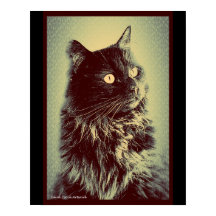 Chat de la forêt norvégienne noire