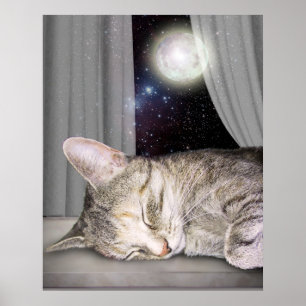Affiches Chat de lune