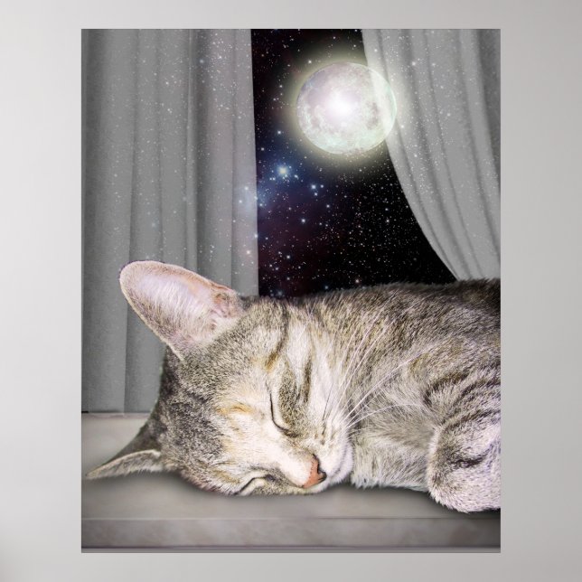 Affiches Chat de lune (Devant)