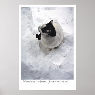 Affiches Chat de neige