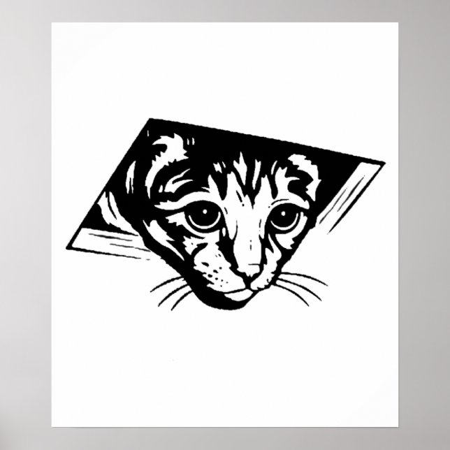 Affiches Chat de plafond (Devant)