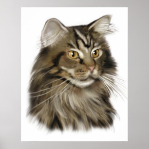 Affiches Chat de ragondin tigré noir du Maine