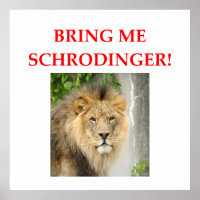 chat de schrodinger